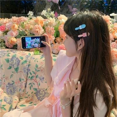 几度菊花香
